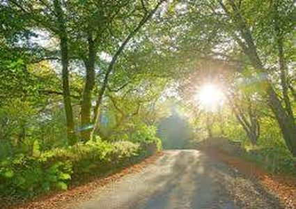 A rise in temperature during this week