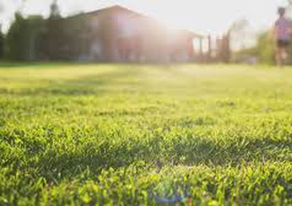 Weather:Hot conditions, no change in temperature