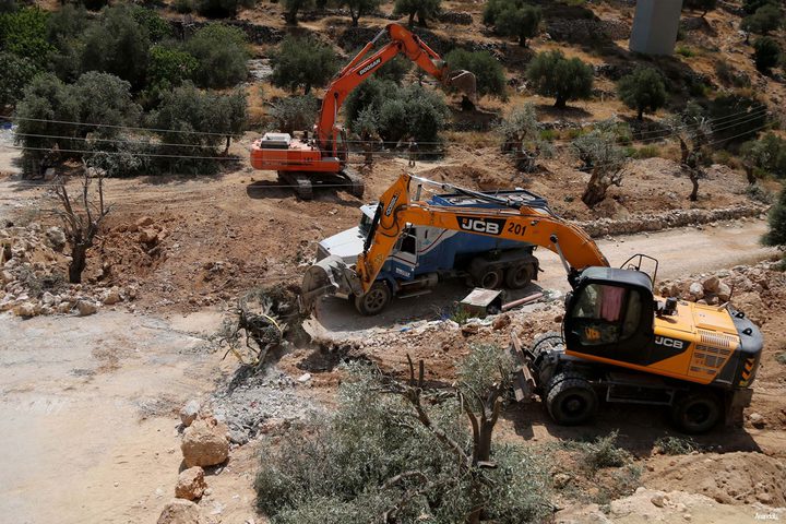 IOF bulldozers uproot olive trees in Bethlehem