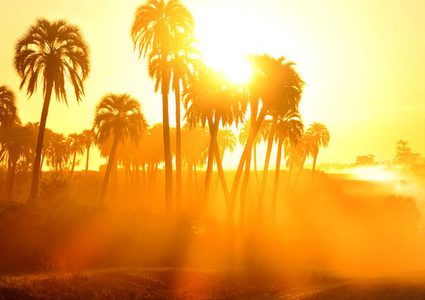 Palestine weather :Temperature higher than annual average