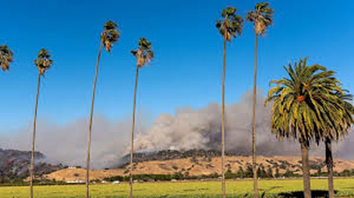 Heatwave back with temperature higher than annual average