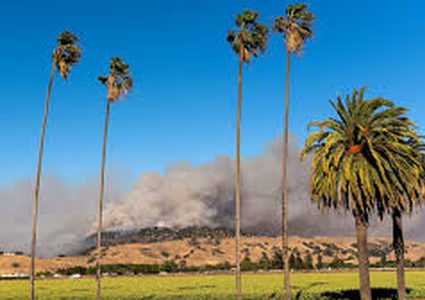 Heatwave back with temperature higher than annual average