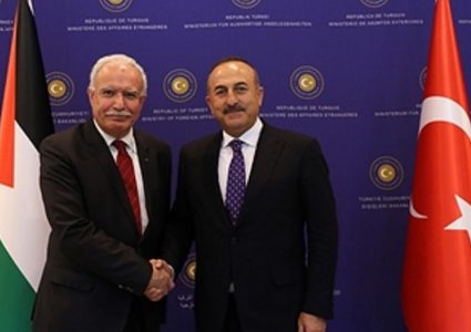 Turkish Foreign Minister supporting holding an international peace conference