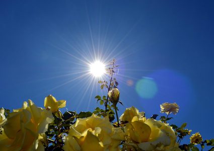 Drop in temperature, relief in heat stress