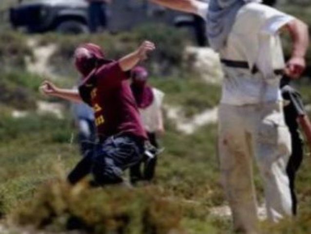 Settlers attack Palestinian farmers near Nablus