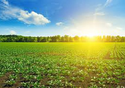 Weather today :Unseasonably high temperature