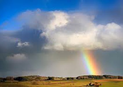 Weather  in Palestine :Unseasonably high temperature