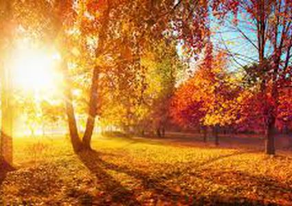 Weather forecast: Unseasonably high temperature