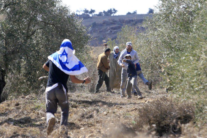 Palestinian farmers were attacked by settlers while they were picking olives.