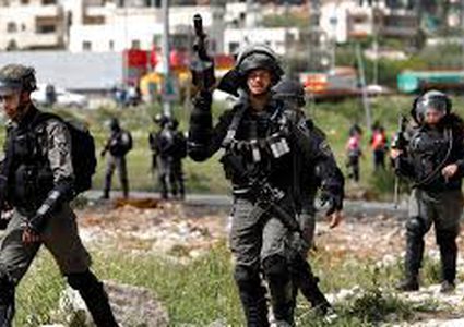 Salfit: IOF detained Israeli human rights staff