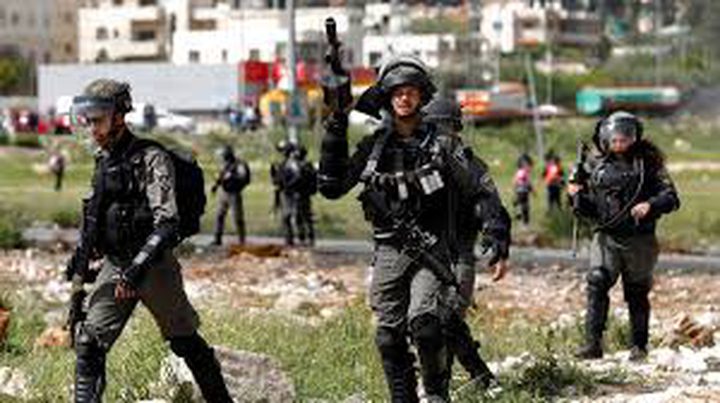 Salfit: IOF detained Israeli human rights staff