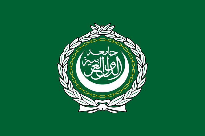 Arab League welcomes resolutions about Palestine