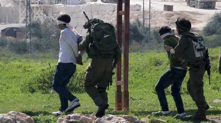 Woman journalist, brothers among 12 Palestinians  detained by IOF