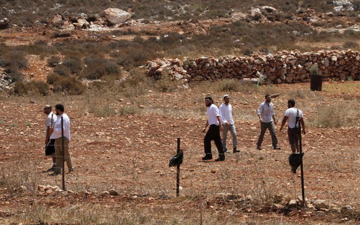 Israeli settlers infringe and work on Palestinian land