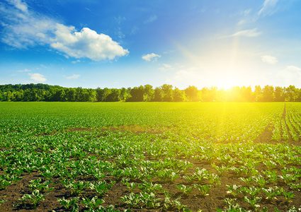 A rise in temperature with a cloudy weather