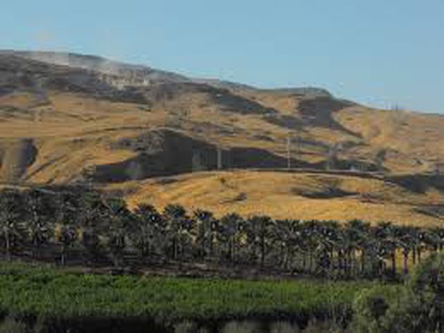 Jordan Valley: IOF prevent farmers  from access to their land in Jordan Valley