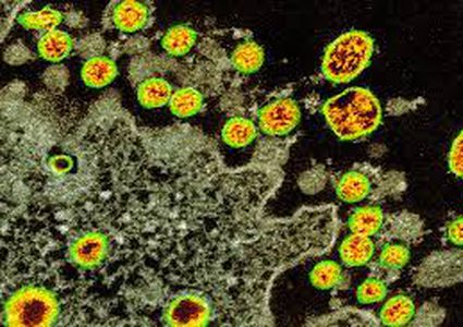USA: Two Palestinians die of coronavirus
