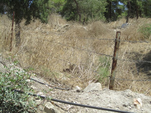 Witnesses: Israeli settlers put fence in Palestinian owned land in Jordan valley