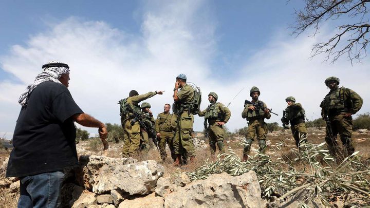 Hundreds of olive trees uprooted, three structures demolished by Israeli occupation near Jericho