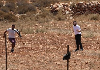 Settlers chase and attack Palestinian shepherds in Jordan Valley