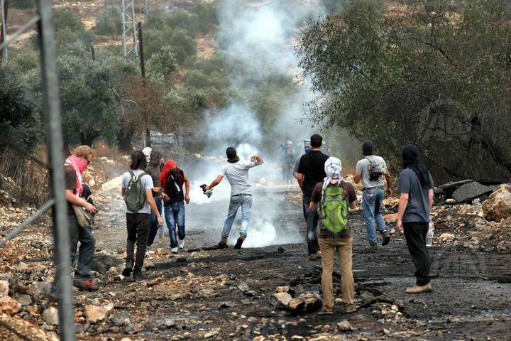 Hundreds of Palestinian protesters take part in anti-settlements protests