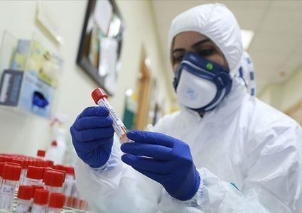 The Palestinian Health Ministry spokesman: The Brazilian strain of 