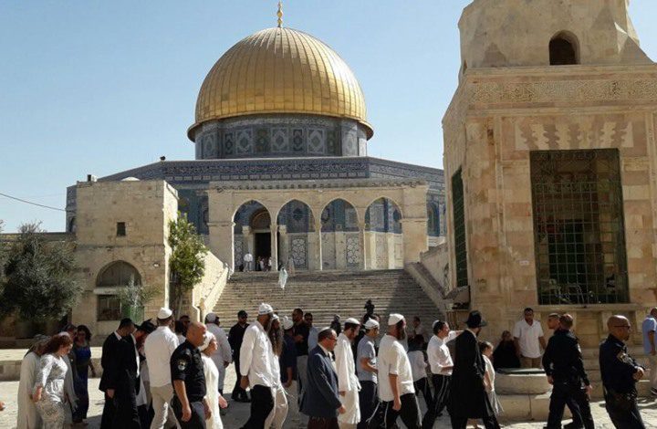 Settlers storm Al-Aqsa and carry out provocative tours