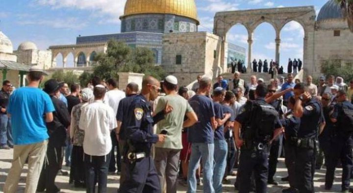 Settlers storm Al-Aqsa and arrest 3 Jerusalemites after attacking them