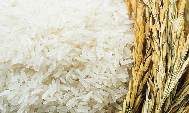 Who are the categories prohibited from eating rice?