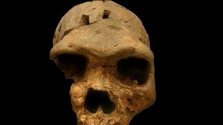 The discovery of an ancient skull in Ethiopia, revealed a new human ancestor